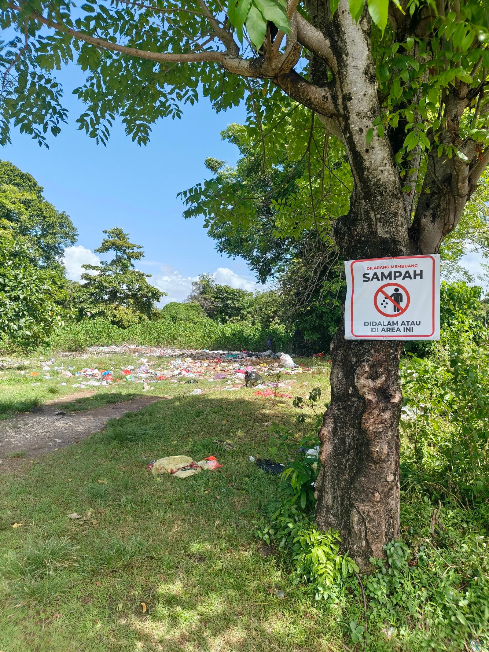 Warga & Satgas Kebersihan Kelurahan Toro Keluhkan Minimnya Kontainer Sampah, TPS Liar Menjamur
