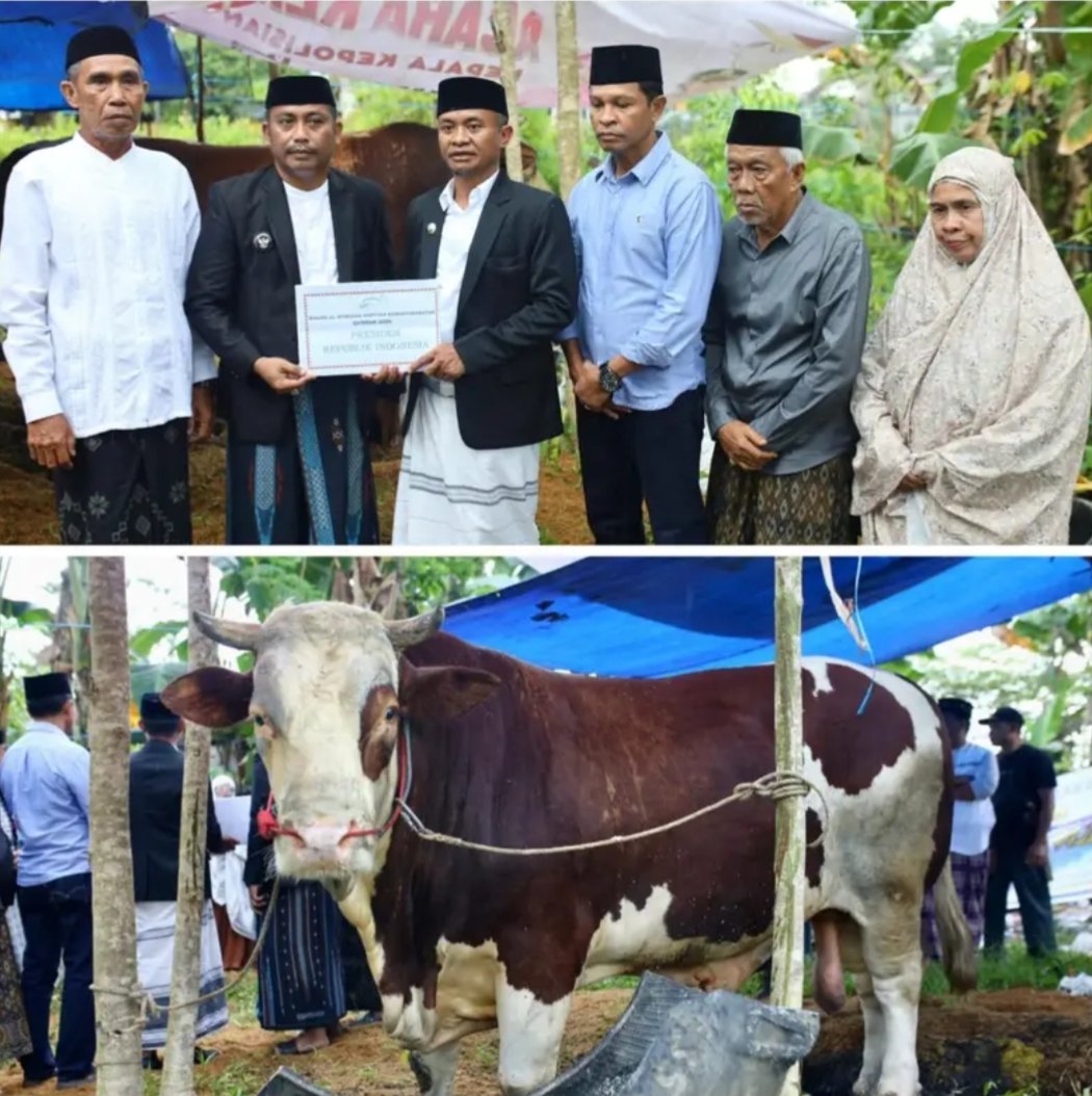 Berbobot 1,5 Ton dan Bernilai Rp100 Juta Jadi Sapi Kurban Presiden untuk Masyarakat Bone, BupAAS: Momentum Perkuat Kebersamaan dan Kepedulian