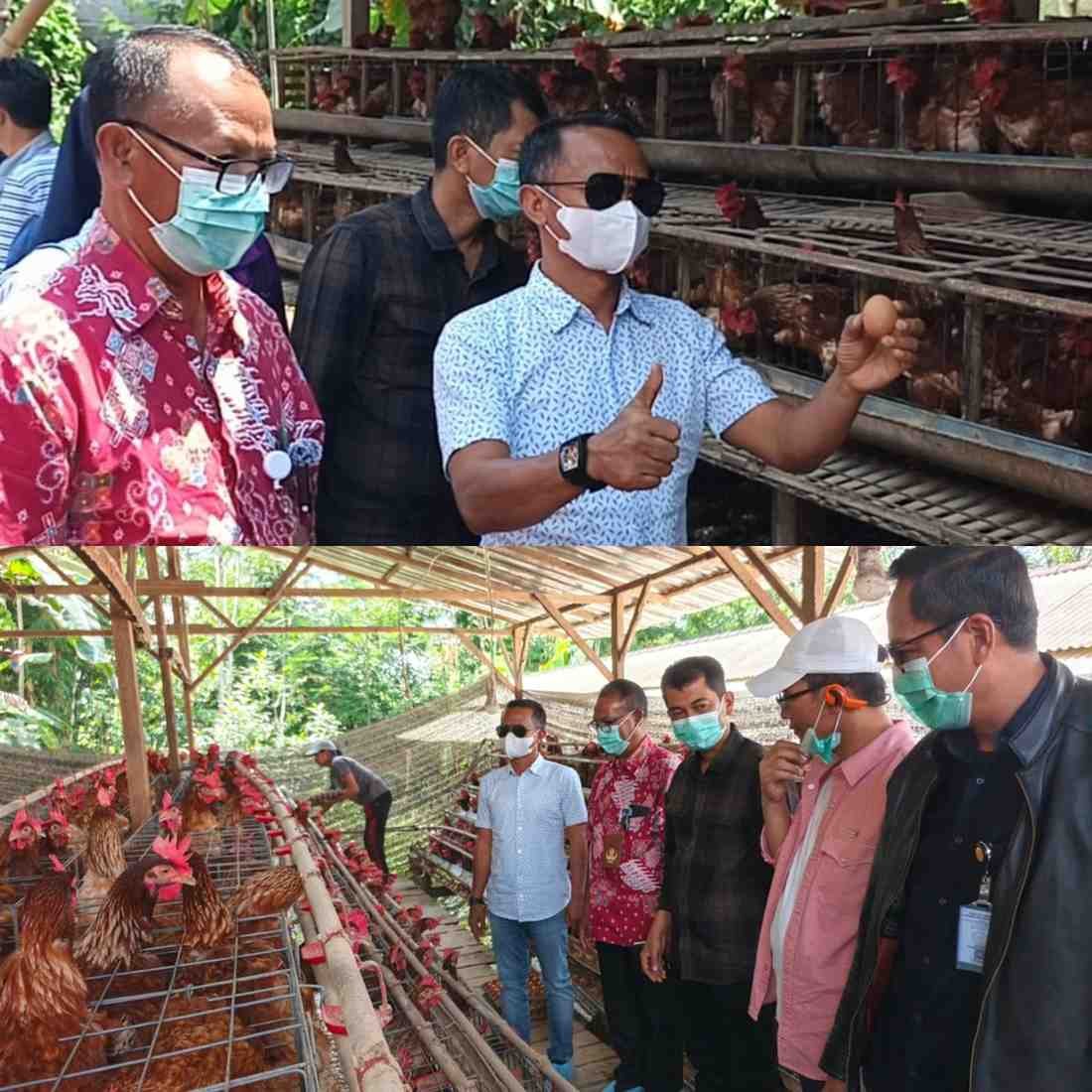 Kunjungan ke Bangli: Pemkab Bone Siap Kembangkan Ekosistem Hilirisasi Ayam Terpadu