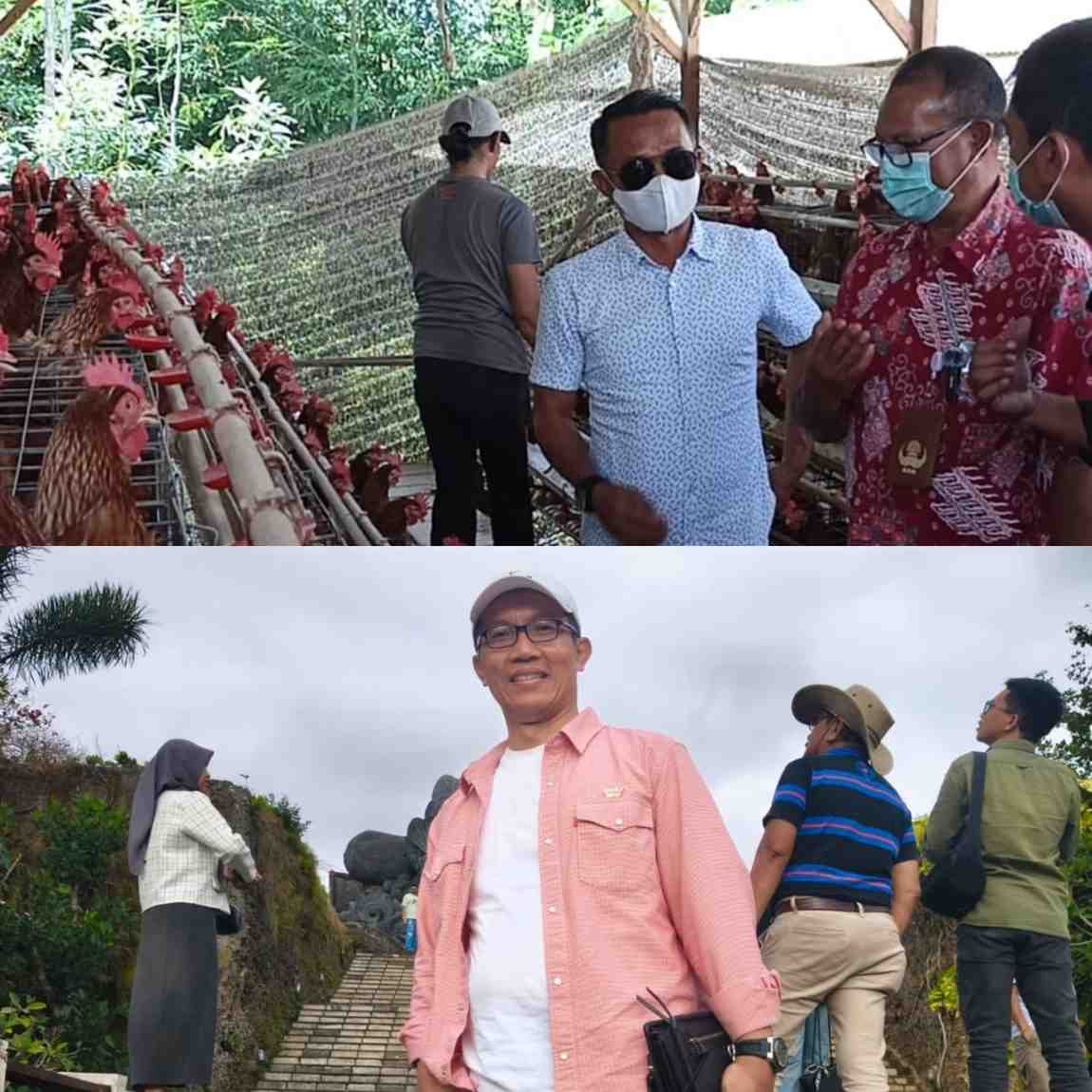 Kabar Baik bagi Peternak Bone: PT Berdikari Hadirkan Hilirisasi Ayam Terintegrasi (HAT)