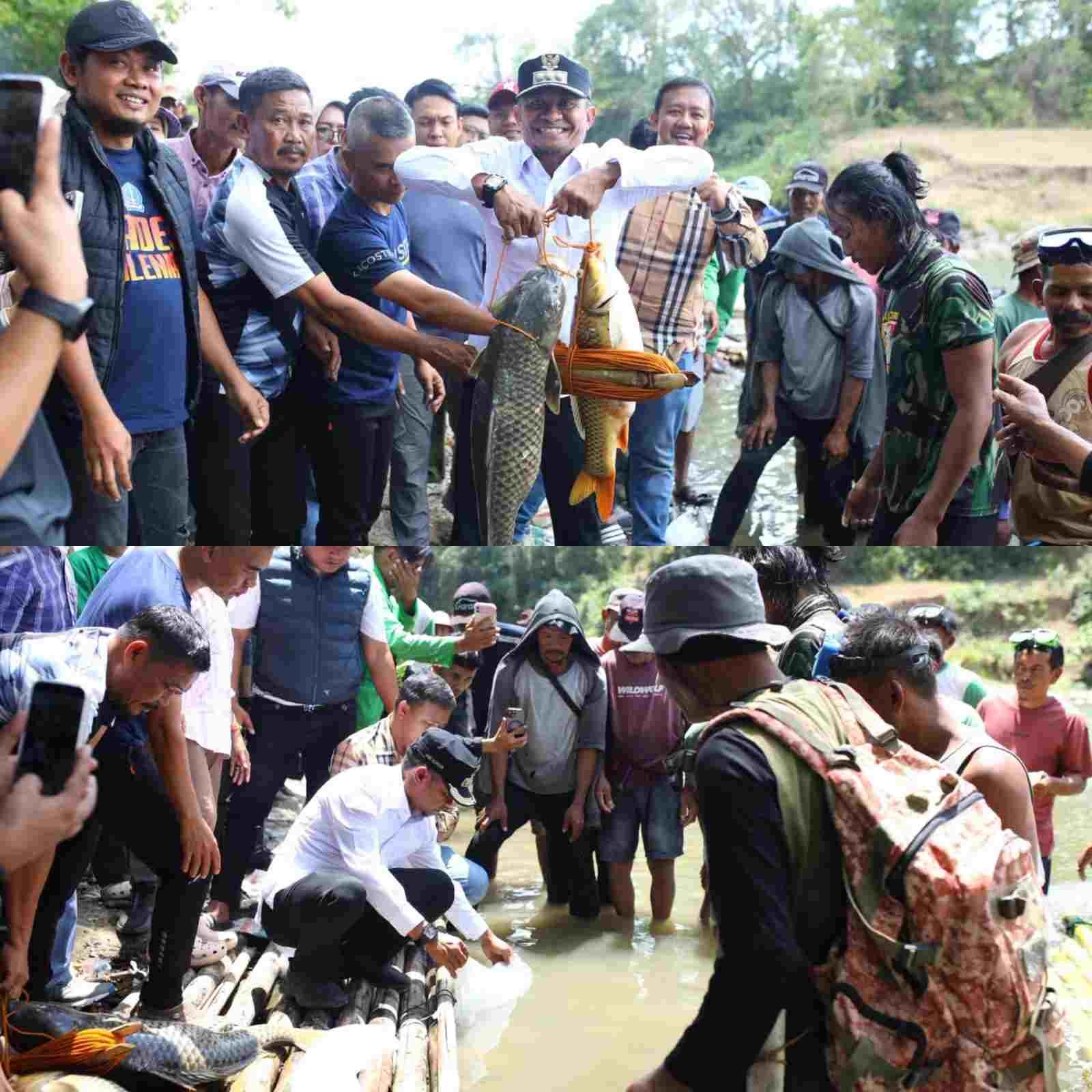 Perkuat Ketahanan Pangan, Bupati Bone Salurkan Benih Ikan Emas dan Nila di Desa Binuang