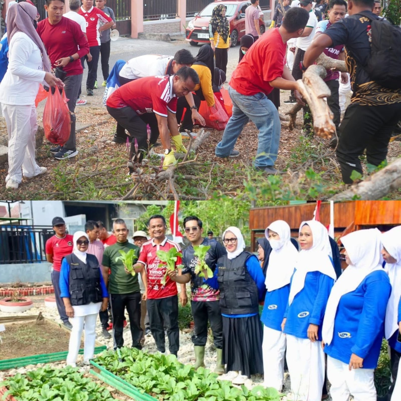 Budayakan Bersih Lingkungan, Bupati Bone Turun Langsung Bersihkan Lorong hingga Panen Sayuran
